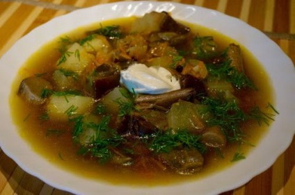 Ciuperci podberezoviki - rețete de gătit cu fotografii, cum să gătești podberezoviki marinate,