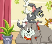 Tom și Jerry joacă online gratuit