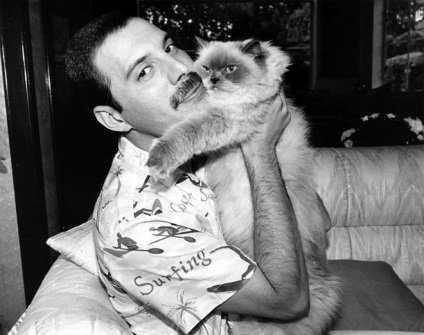 Stílus ikon Freddie Mercury