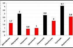 Supozitoare indometacinice cu hemoroizi