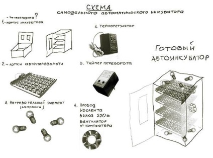 Inkubátorok Tojás automata - ár gyártási inkubátorok automatikus