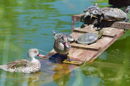 Locuri interesante lângă parcul de păsări - vrăbii din Moscova