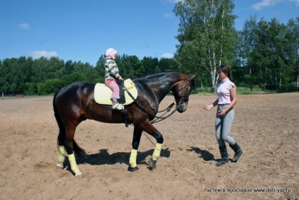 Hippotherapy - versiune pentru tipar