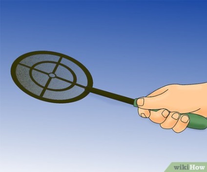 Cum să scapi de muște în scurgere