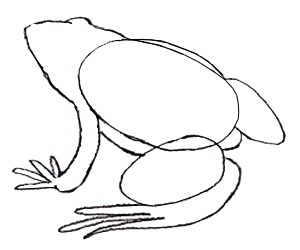 Cum de a desena o broască, desenând o broască cu un creion