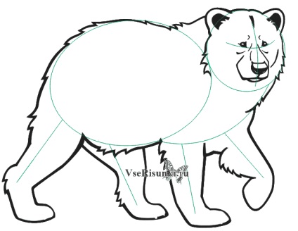 Cum de a desena un urs în creion pas cu pas