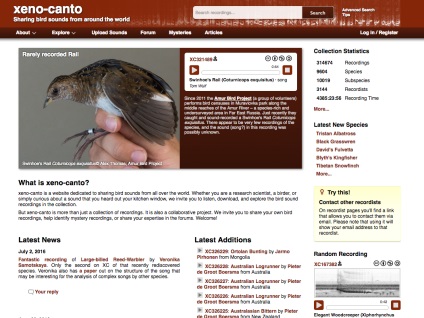Cum să găsiți sunetul aproape a oricărei păsări pe site - comunitatea de sunet vgik - comunitatea de sunet vgik
