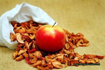 Cum se usucă merele pentru iarnă