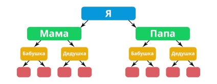 Cum se face un arbore genealogic în Photoshop