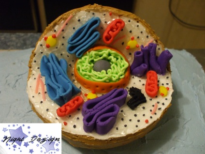 Hogyan készítsünk egy modellt a sejtbiológia gyurmából