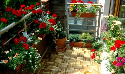 Cum să faci o grădină de flori într-un apartament cu mâinile tale