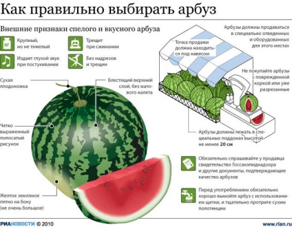 Cum sa alegi un pepene verde, cel mai interesant din lume