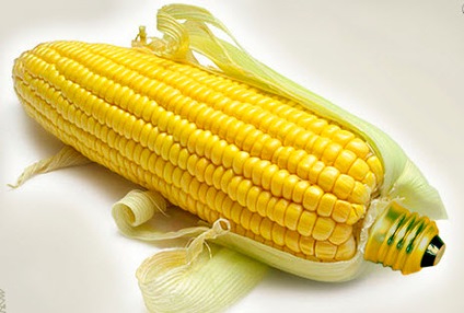 Hogyan növekszik a kukorica