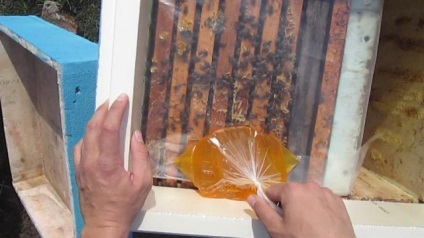 Cum să furați albinele în timpul iernii, sfaturi utile pentru fiecare apicultor