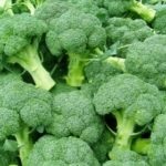 Cum să înghețe broccoli pentru iarnă acasă