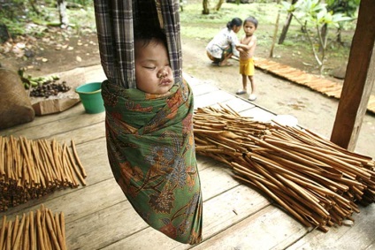 Kalimantan este o călătorie independentă, dragoste pe planetă