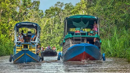 Kalimantan este o călătorie independentă, dragoste pe planetă