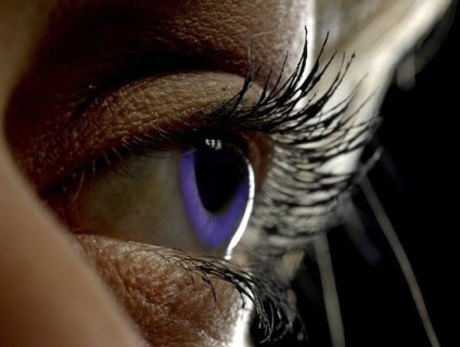 Cyber-eye által létrehozott tudósok, „látni a fényt” vak, egészség, egészséges életmód, egészség, AMF