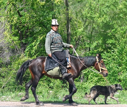 Kirghiz rase de cai caracteristici și descriere, caii mei