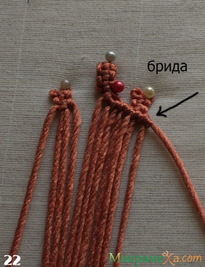 Macrame clasice de țestoase - clasă - master - articole și modele