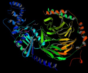 Receptor celular