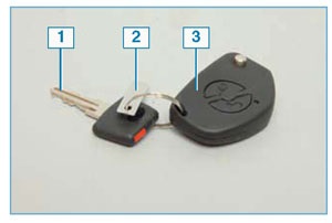 Cheile mașinii Niva Chevrolet, sistemul de imobilizare și controlul la distanță pentru pachetul electric