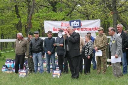 Amikor a külső nem minden, de fontos Nicholaev volt a regionális kiállítás a vadászkutyák - 