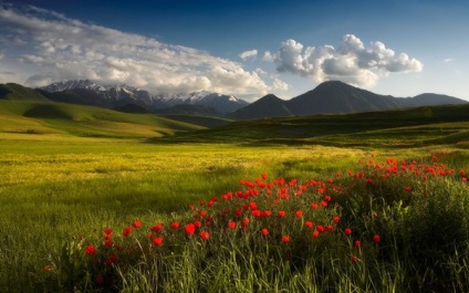 Compoziție în exemple și sfaturi despre fotografii - Fotografii