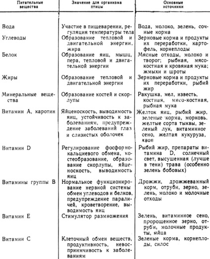 Pui de hrănire 1982 Konopleva