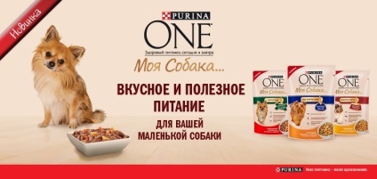 Alimente purina una - câinele meu ... un iubitor de hrană - pentru câinii adulți de rase mici cu curcan, morcovi