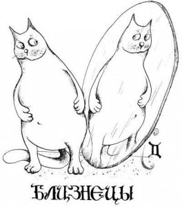 Horoscopul Horoscopului Cat