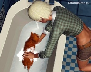 Pisici, pisici și pisoi în sims 3 animale de companie