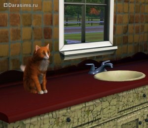 Pisici, pisici și pisoi în sims 3 animale de companie