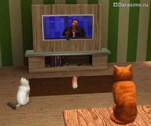 Pisici, pisici și pisoi în sims 3 animale de companie