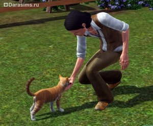 Pisici, pisici și pisoi în sims 3 animale de companie