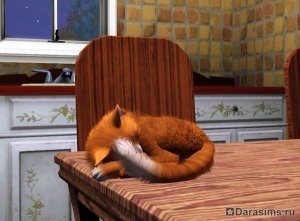 Pisici, pisici și pisoi în sims 3 animale de companie