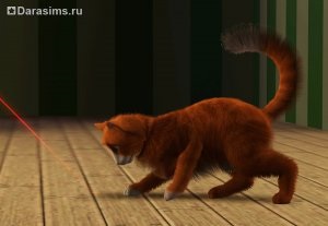 Pisici, pisici și pisoi în sims 3 animale de companie