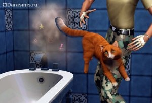 Pisici, pisici și pisoi în sims 3 animale de companie