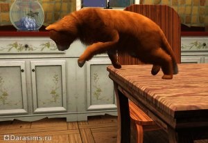 Pisici, pisici și pisoi în sims 3 animale de companie