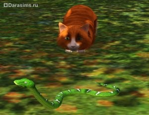 Pisici, pisici și pisoi în sims 3 animale de companie