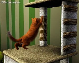 Pisici, pisici și pisoi în sims 3 animale de companie