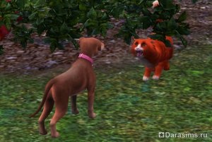 Pisici, pisici și pisoi în sims 3 animale de companie