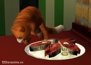 Pisici, pisici și pisoi în sims 3 animale de companie