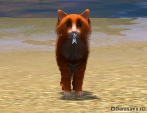 Pisici, pisici și pisoi în sims 3 animale de companie