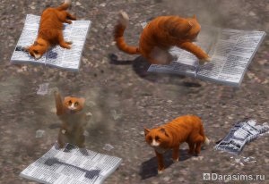 Pisici, pisici și pisoi în sims 3 animale de companie