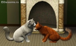 Pisici, pisici și pisoi în sims 3 animale de companie