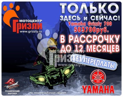 Cumpara ATV yamaha grizzly (Yamaha Grizzly) 700 - specificatii, preturi, revizie, stocare,