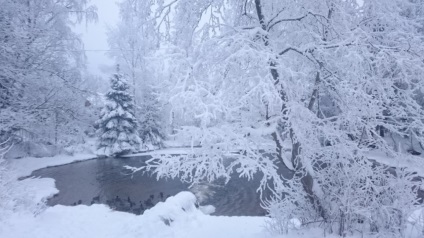 Schi în apropiere de Sankt-Petersburg