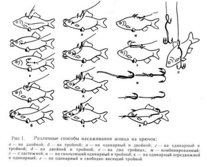 Pescuitul pentru pescărușul de pescăruș - pentru tija de pescuit plutitor și alte echipamente