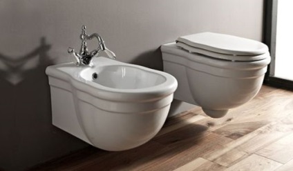 Cele mai bune boluri de toaletă suspendate cu instalare - pentru și contra